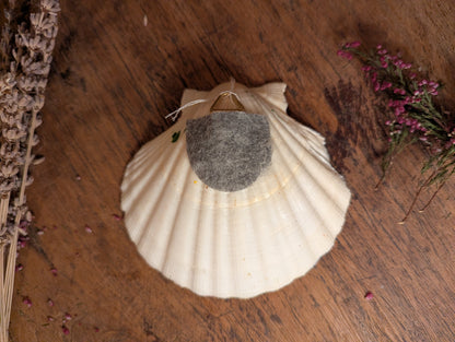 The little potions and flowers shop in the shell