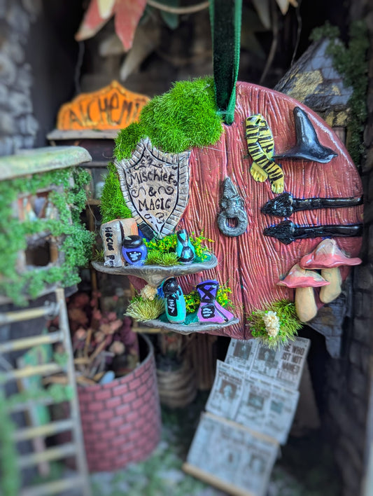 Wizard shop door