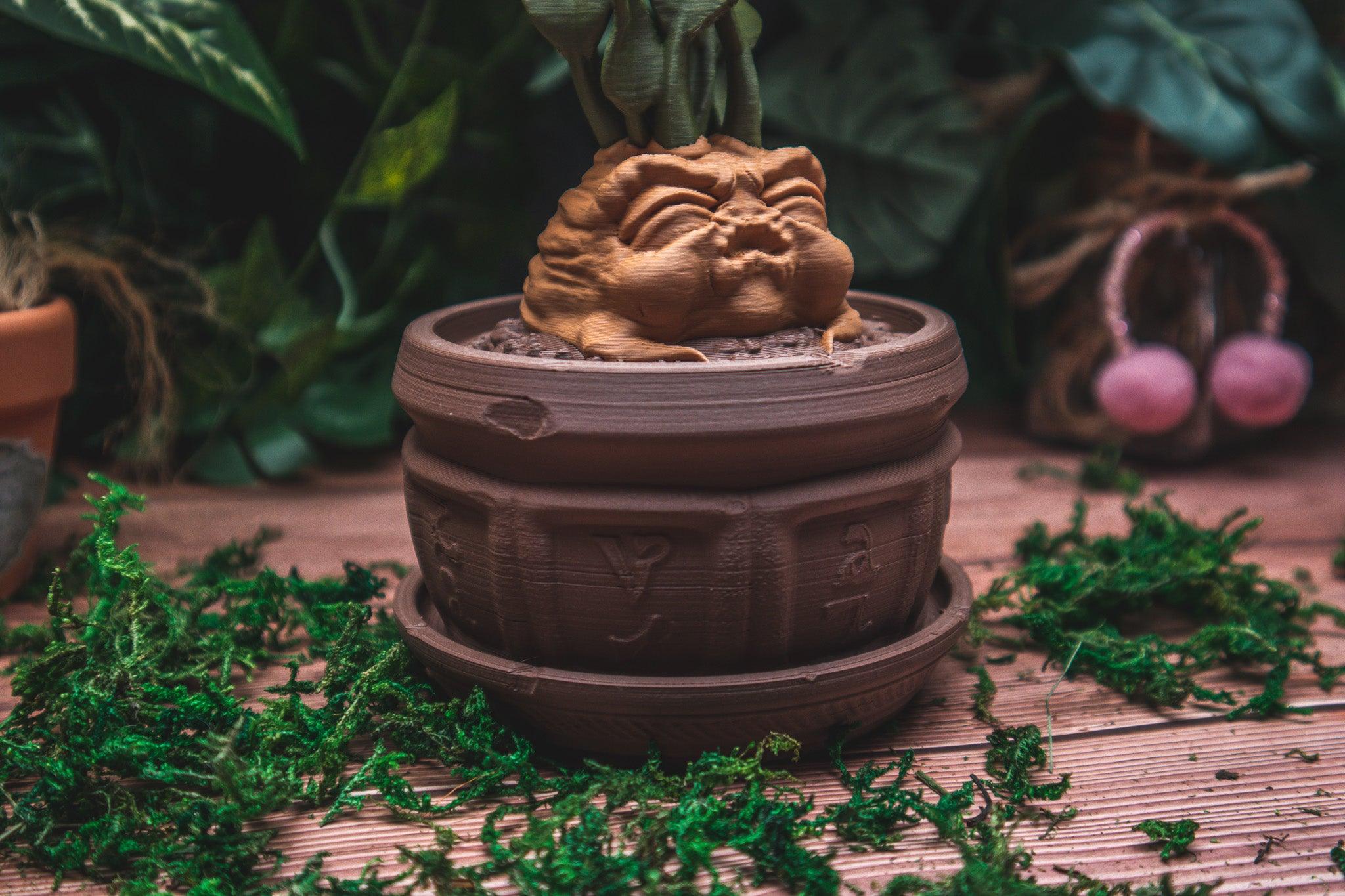 Mandrake Plant Pot jewelry or dice box – The Flaming Feather